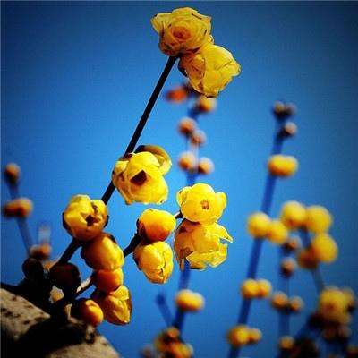 ky体育官方平台