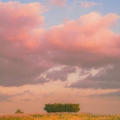 凤凰彩票下载中心