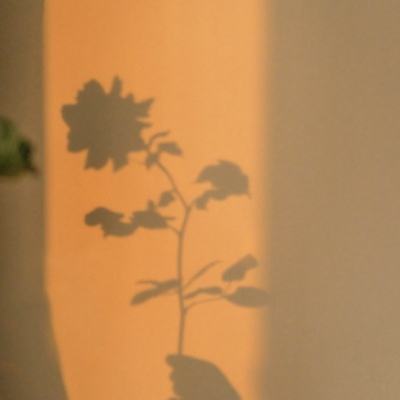 买球的app排行榜前十名推荐手机app下载