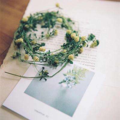 kok在线官网入口