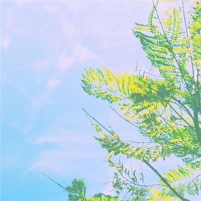 乐发彩票APP下载app下载