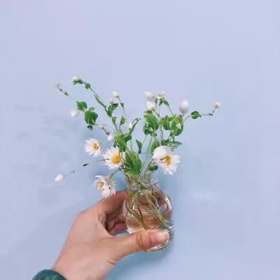 ky体育官方平台截图