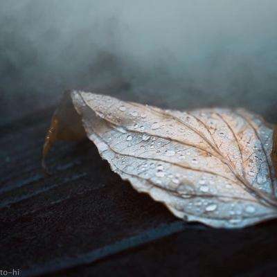 AG官方网站下载