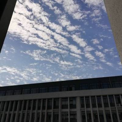 火狐电竞手机app下载